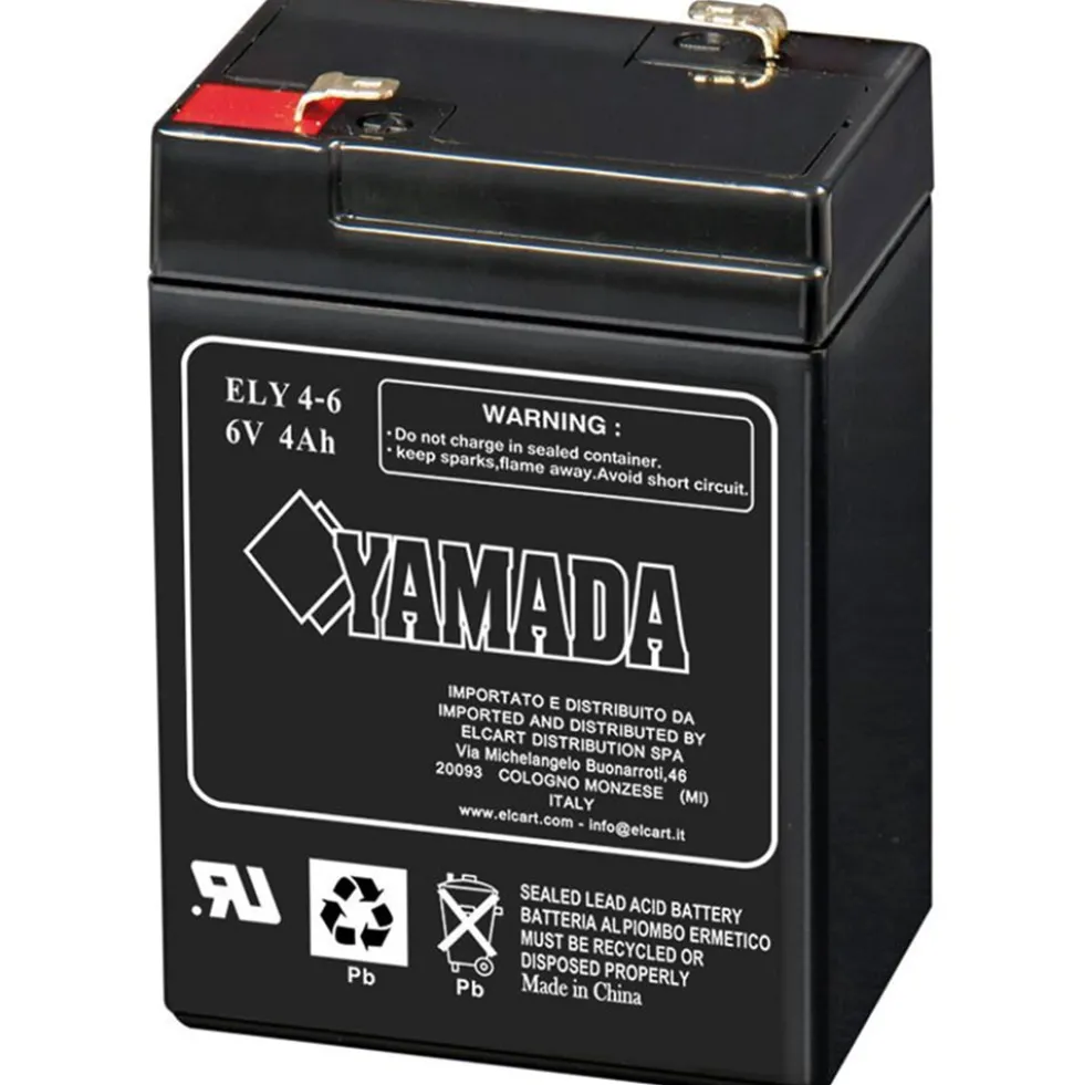 Batteria ermetica al piombo 6V 4Ah (per lampada d'emergenza)