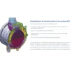 Caldaia a condensazione SAVIO RINA S 25kw a camera stagna con sistema gas adaptive