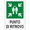 Cartello targa in alluminio "PUNTO DI RITROVO" cm.20 x 30 normativa vigente