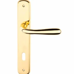 Maniglia con placca oro lucido mm.90 mod. GOCCIA per porte interne