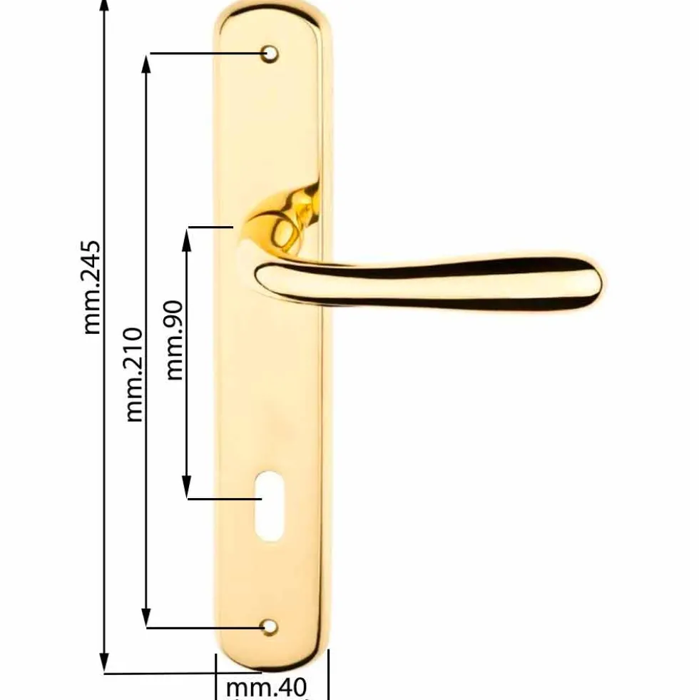 Maniglia con placca oro lucido mm.90 mod. GOCCIA per porte interne