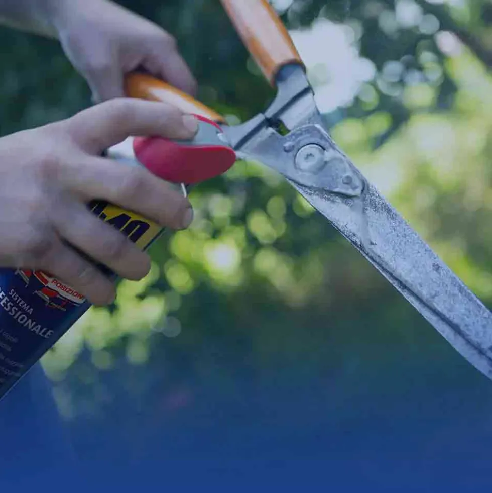 Sbloccante spray lubrificante multifunzione professionale WD-40 con erogazione a doppia posizione ml.500 WD40