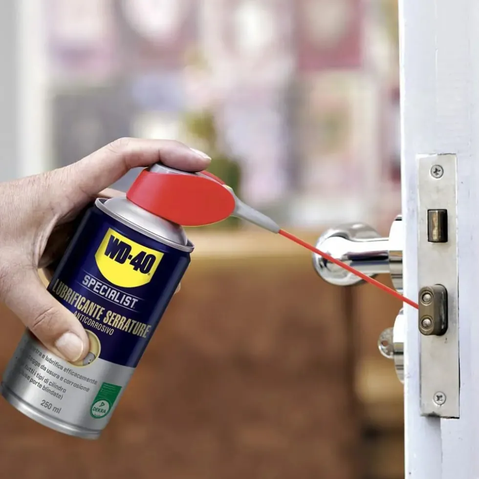 WD-40 Lubrificante anticorrosivo specifico per serrature e cilindri ml.250 WD40 con erogatore a doppia posizione