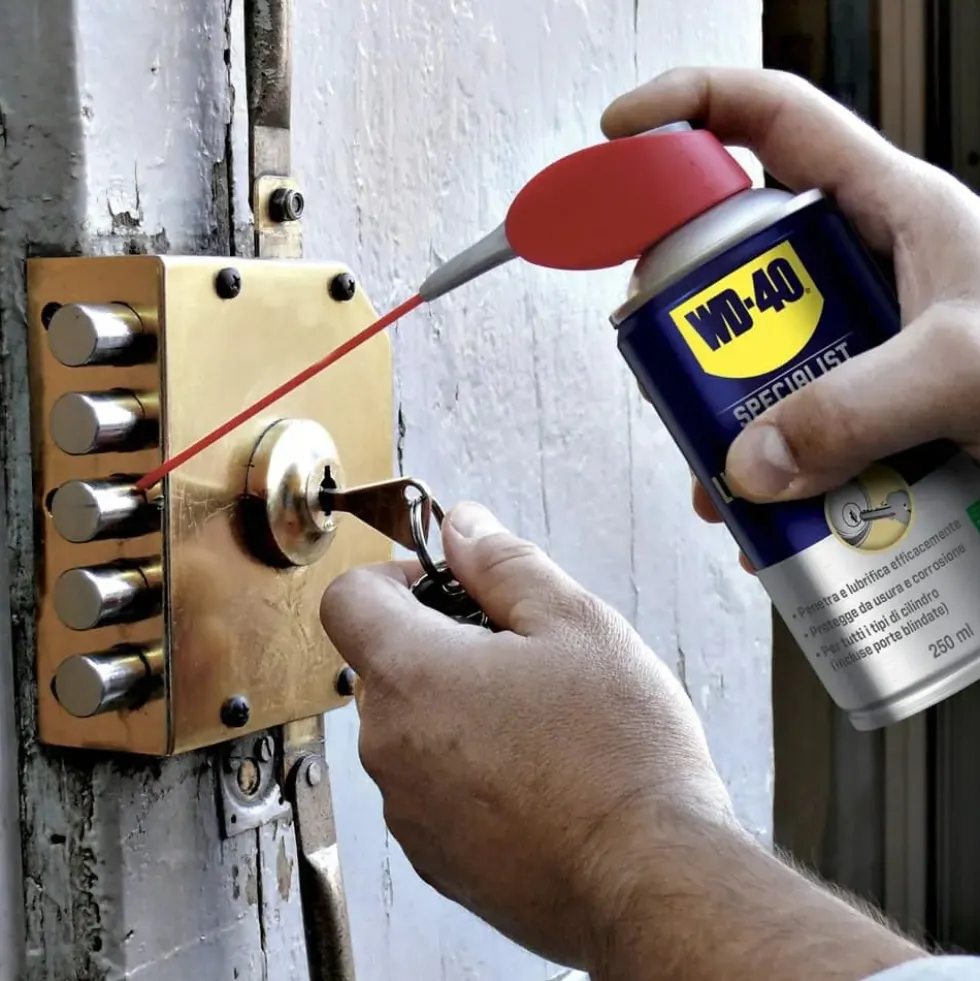 WD-40 Lubrificante anticorrosivo specifico per serrature e cilindri ml.250 WD40 con erogatore a doppia posizione